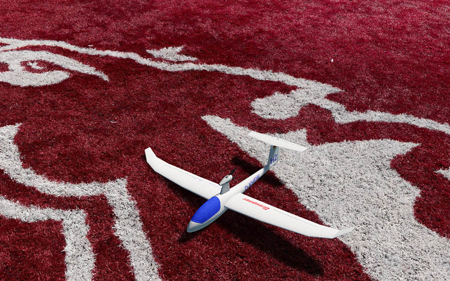 Mini Discus 120cm Graupner 